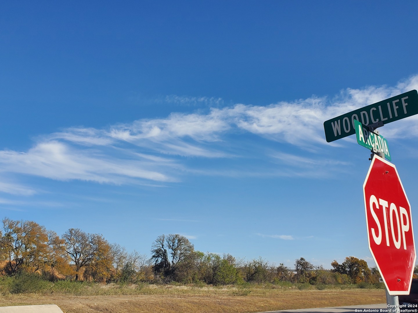 0 Woodcliffe Selma TX 78154