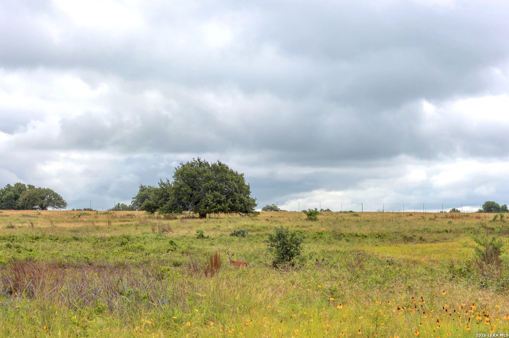 245 NW Big Sky Road Harper TX 78631
