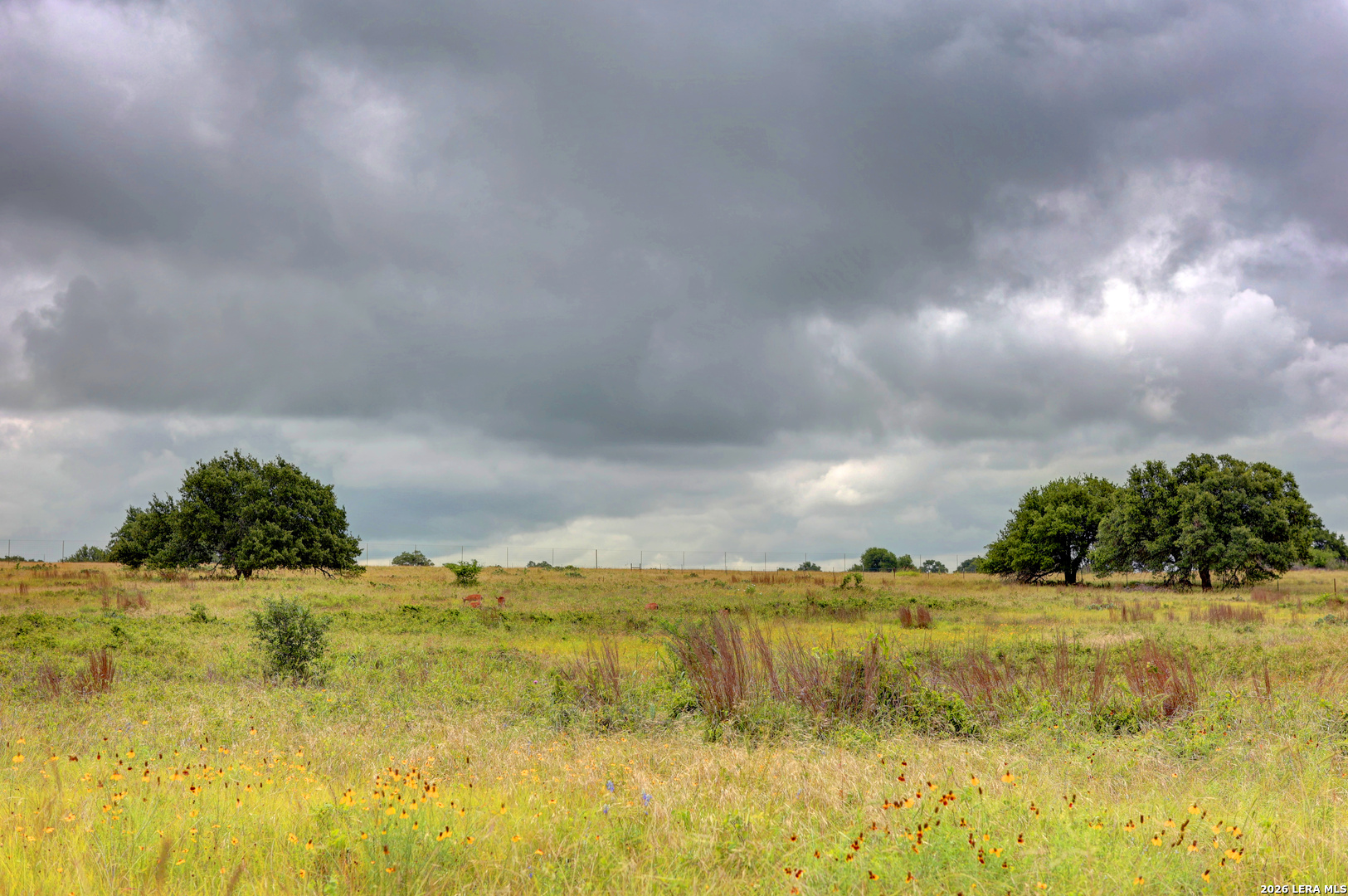 245 NW Big Sky Road Harper TX 78631