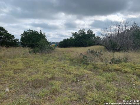 523 Oak Shores Drive Canyon Lake TX 78133