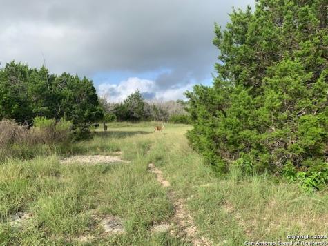 523 Oak Shores Drive Canyon Lake TX 78133