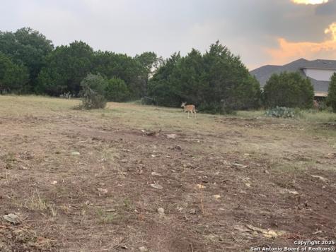 523 Oak Shores Drive Canyon Lake TX 78133