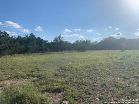 523 Oak Shores Drive Canyon Lake TX 78133