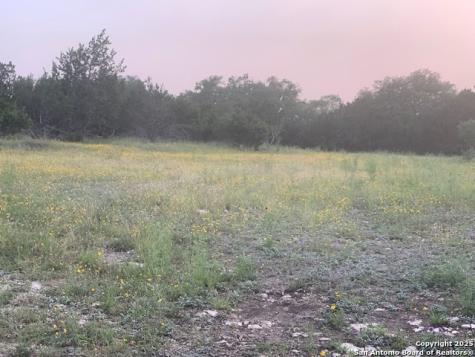 523 Oak Shores Drive Canyon Lake TX 78133