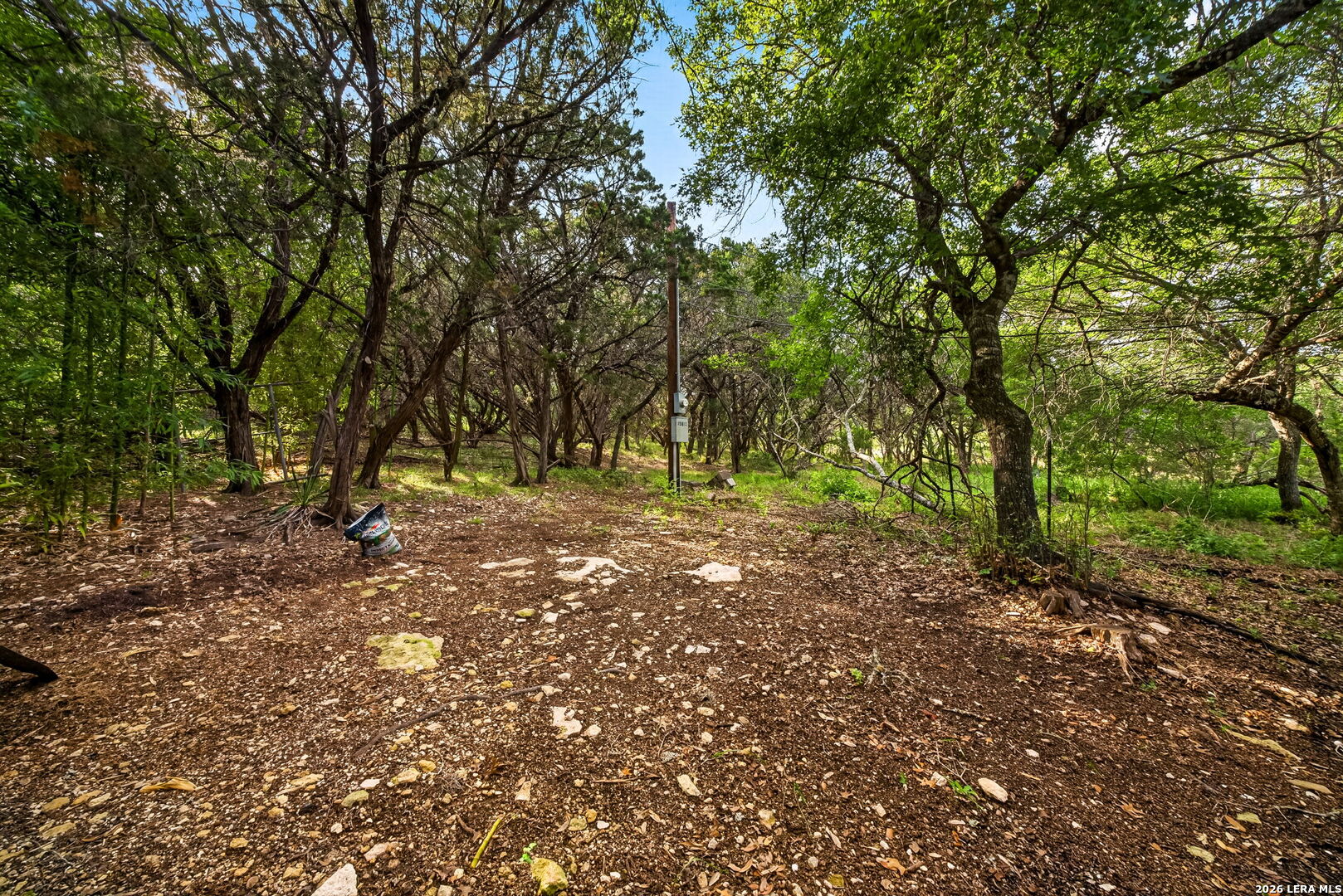 19815 Greenhill Drive Helotes TX 78023