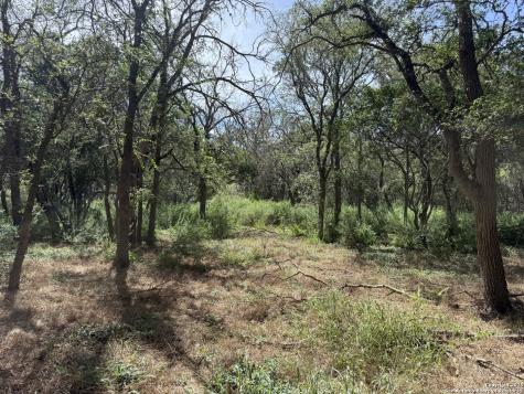 8403 Wild Wind Park Garden Ridge TX 78266