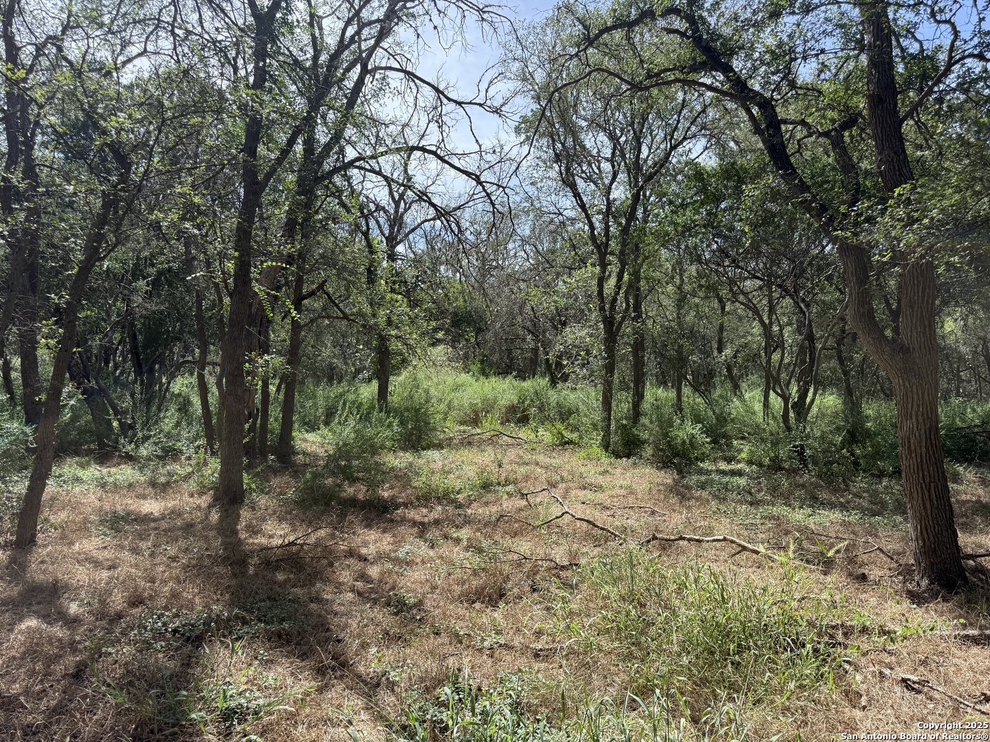 8403 Wild Wind Park Garden Ridge TX 78266