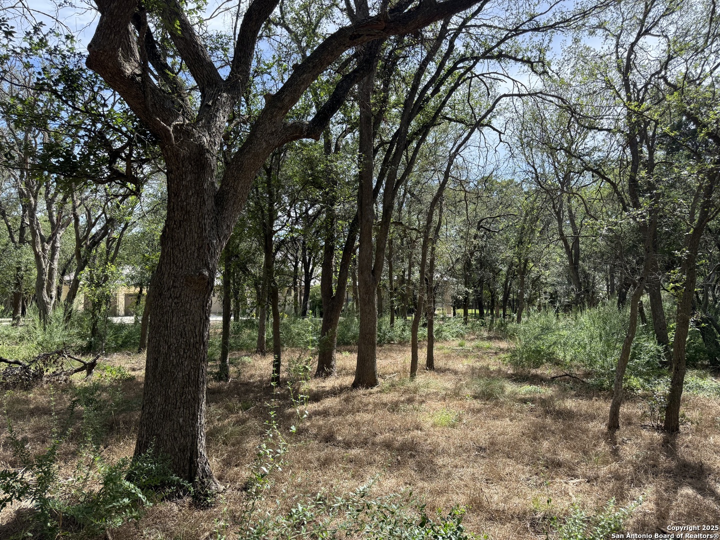 8403 Wild Wind Park Garden Ridge TX 78266