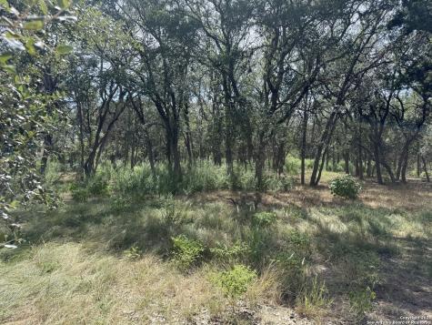 8403 Wild Wind Park Garden Ridge TX 78266