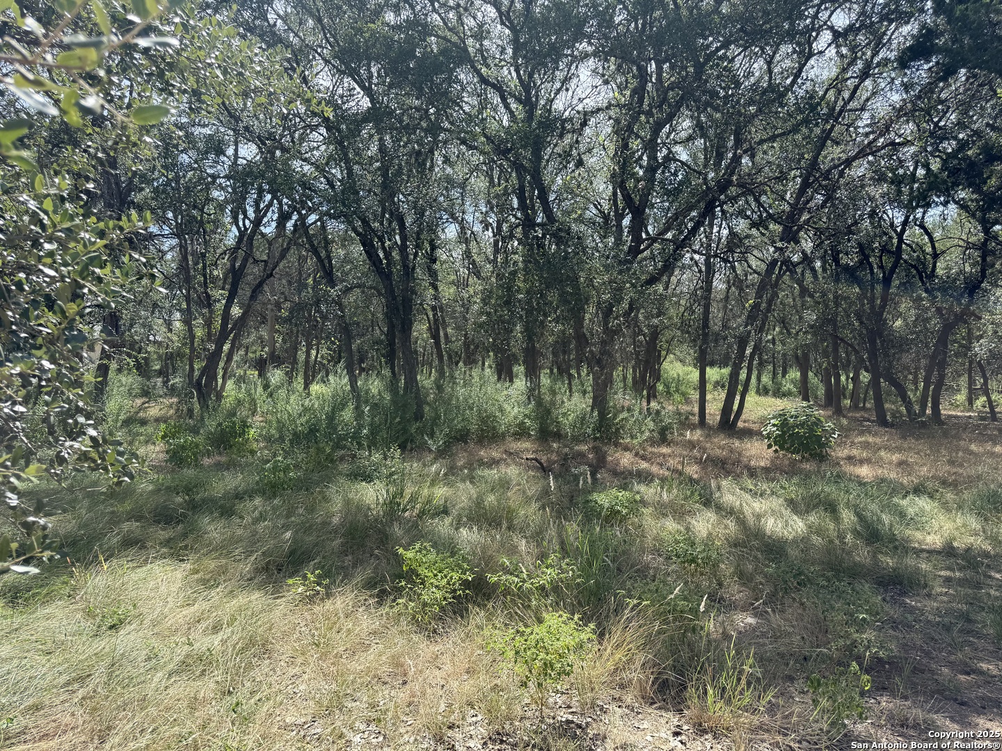 8403 Wild Wind Park Garden Ridge TX 78266