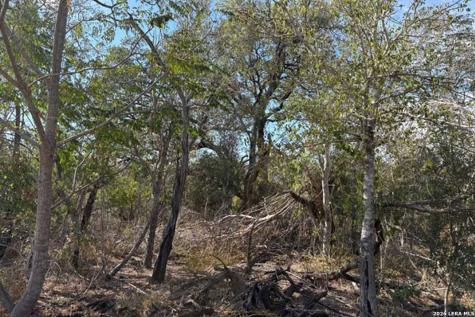 2 Acres New Sulphur Springs Road San Antonio TX 78263