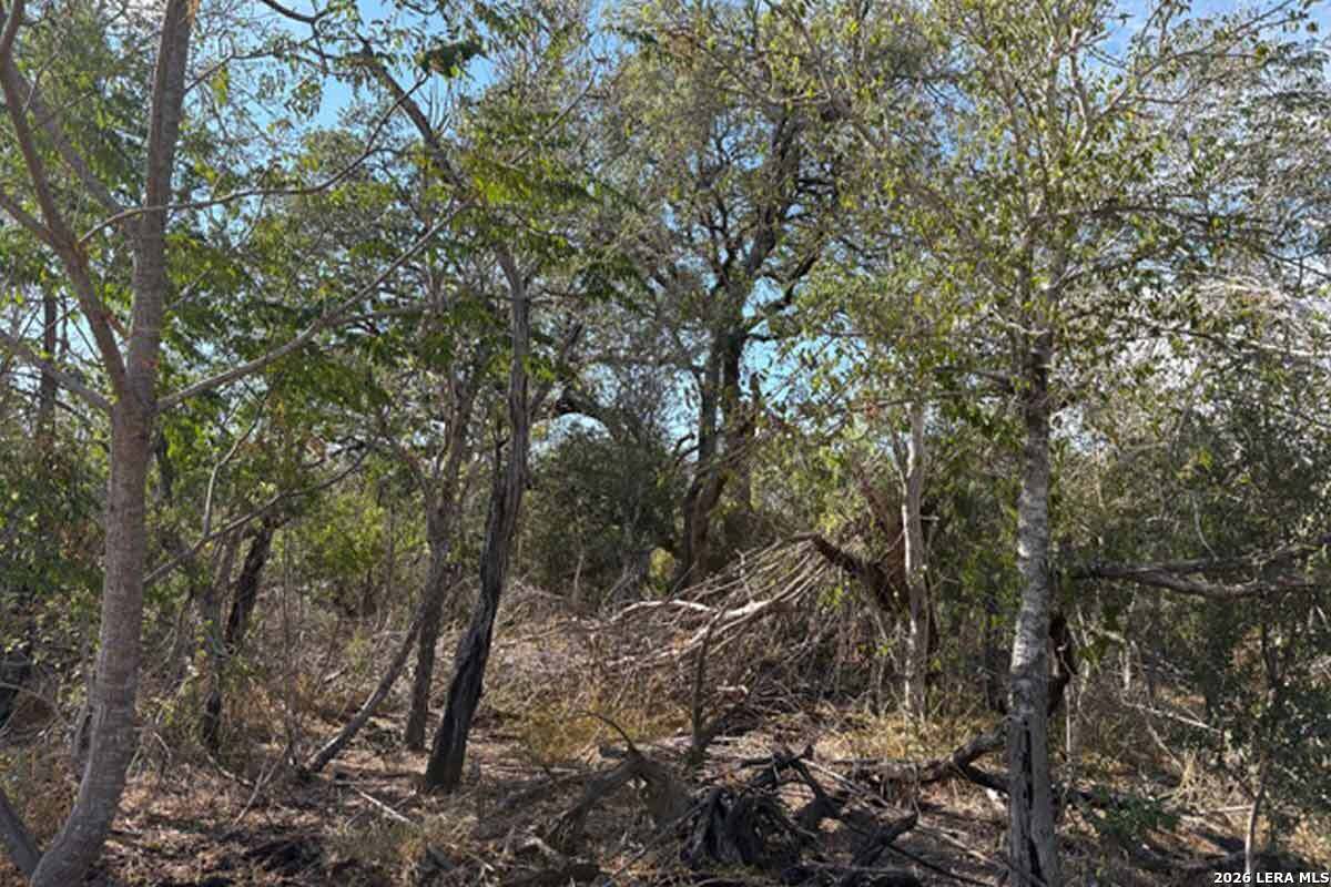 2 Acres New Sulphur Springs Road San Antonio TX 78263