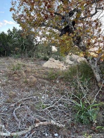 000 Carson Springs San Antonio TX 78255