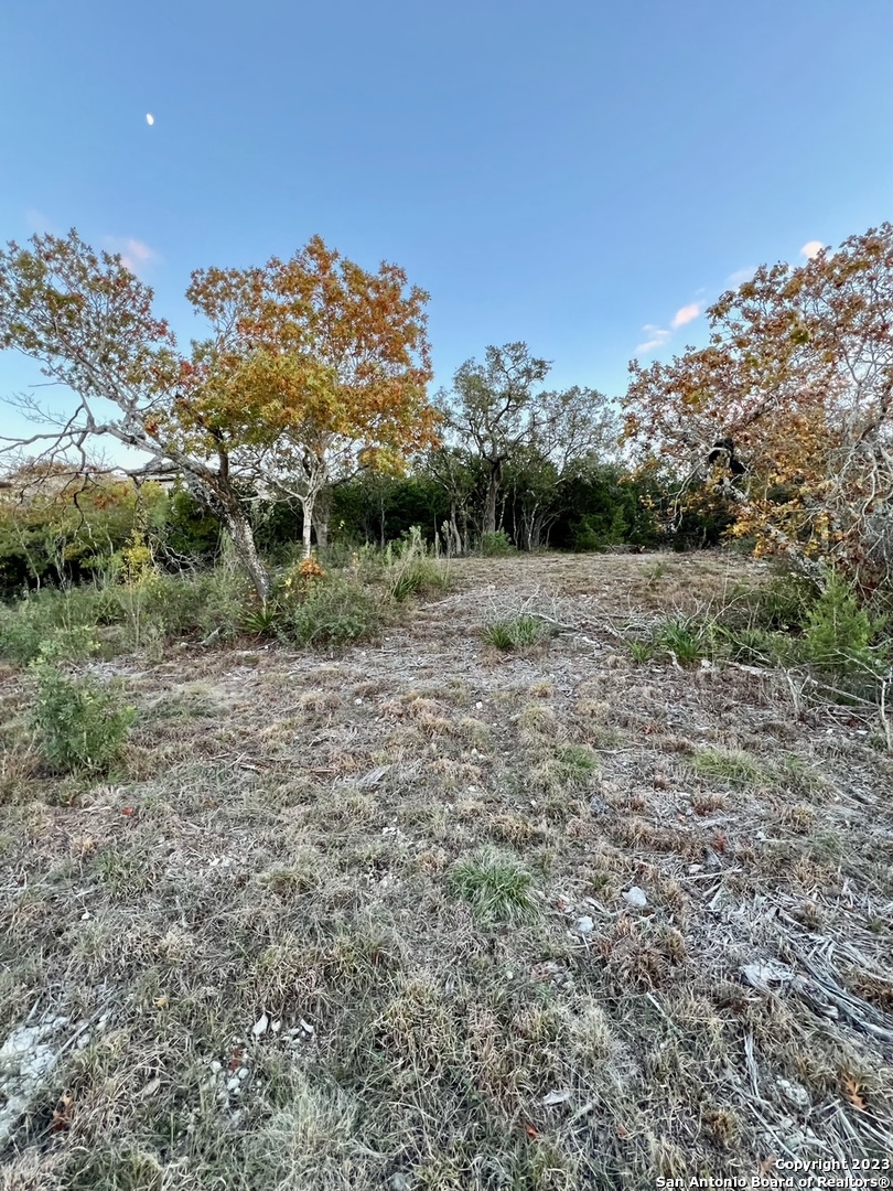 000 Carson Springs San Antonio TX 78255