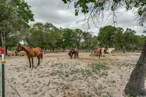 1855 Burr Oak Lane Adkins TX 78101