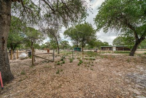 1855 Burr Oak Lane Adkins TX 78101