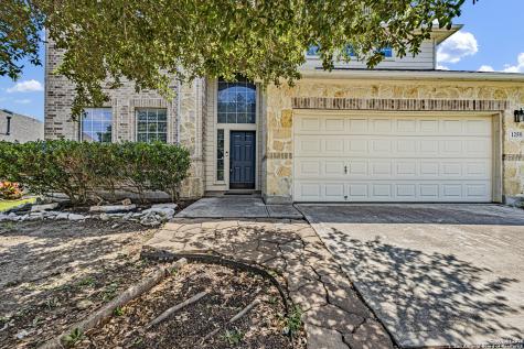 1258 Sandhill Crane New Braunfels TX 78130