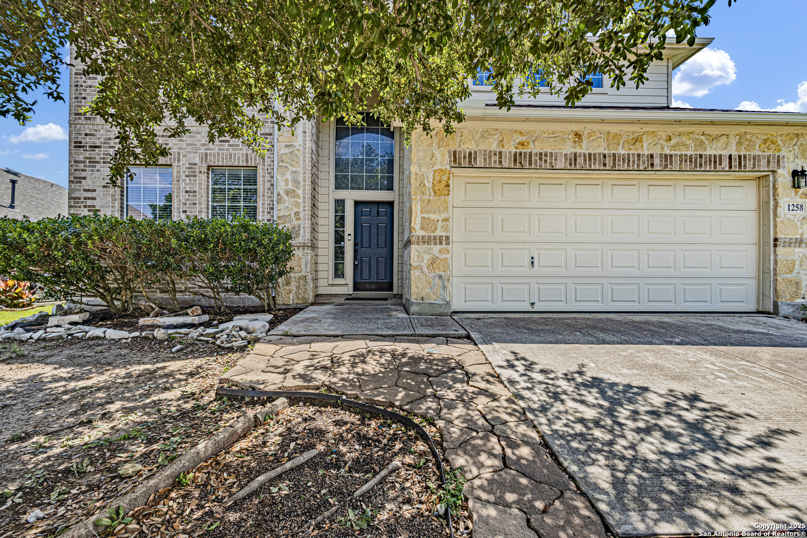 1258 Sandhill Crane New Braunfels TX 78130
