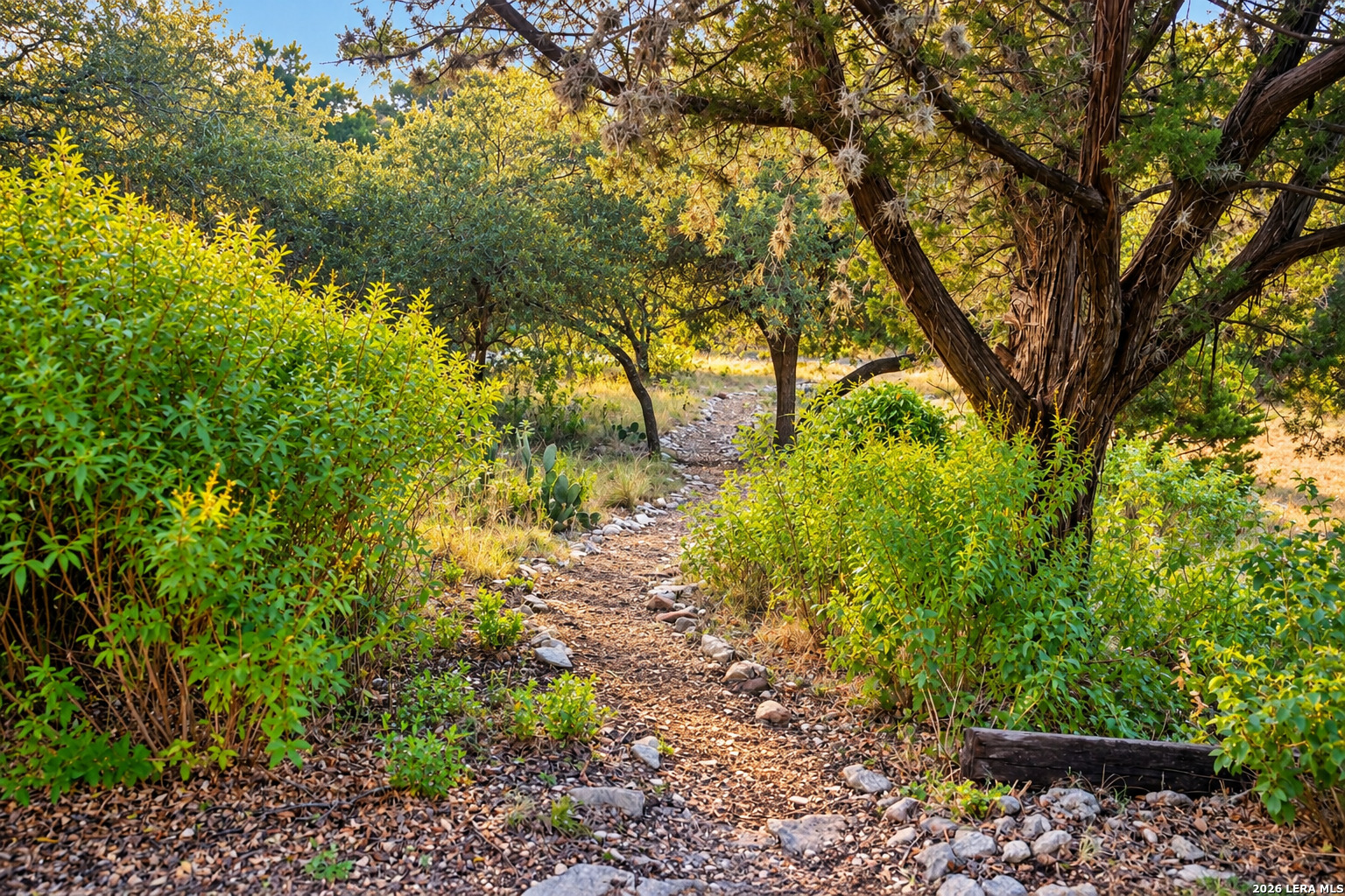 1262 Paradise Drive Canyon Lake TX 78133