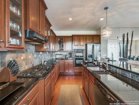 1403 Osnats Point San Antonio TX 78258