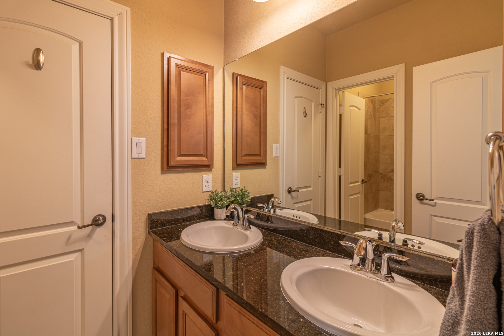 1011 Gazania Hill San Antonio TX 78260