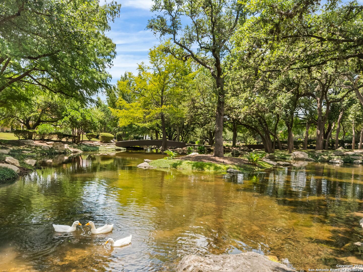 7 Dominion Meadows San Antonio TX 78257