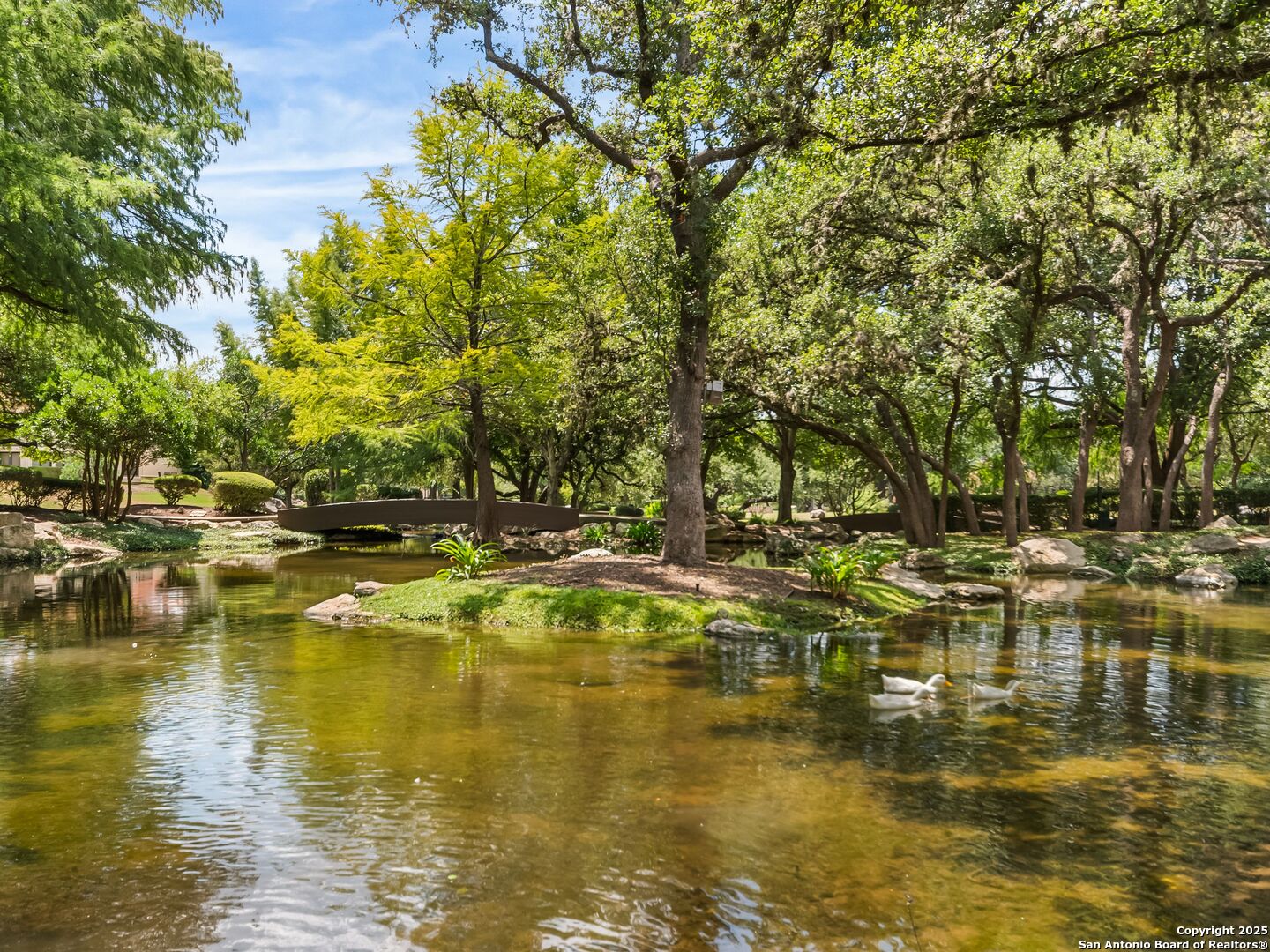 7 Dominion Meadows San Antonio TX 78257