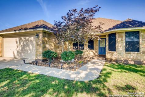 16903 Delana Avenue Elmendorf TX 78112