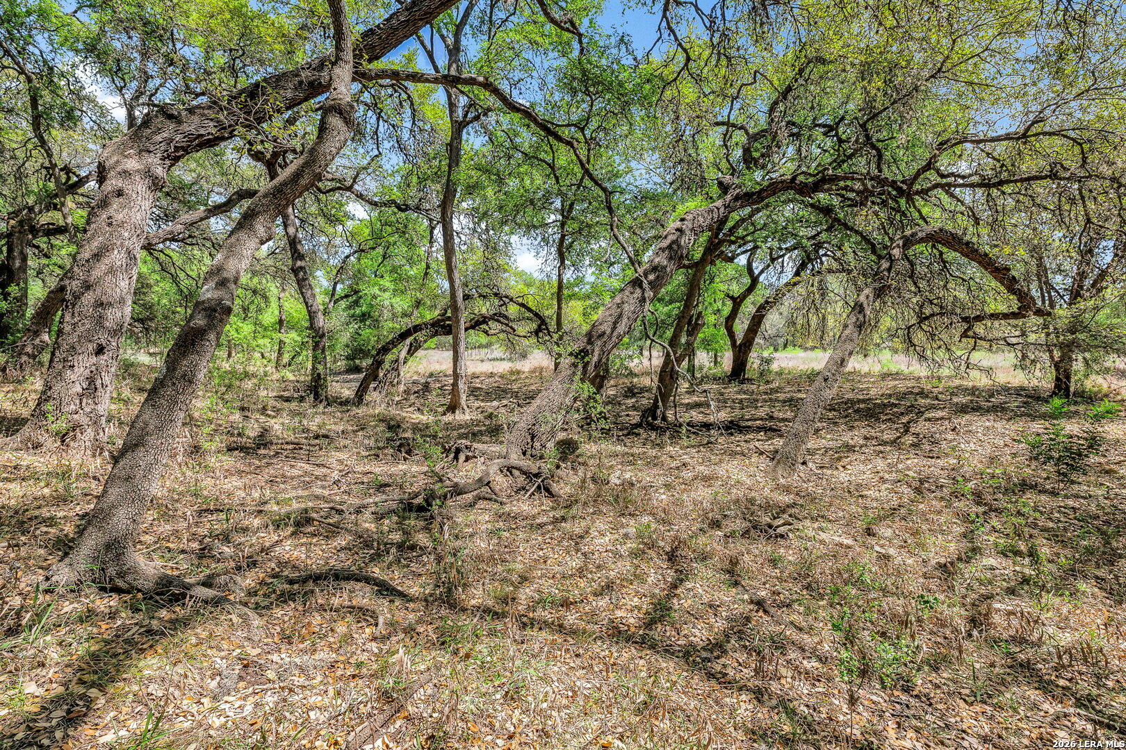 13010 George San Antonio TX 78230