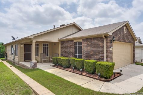 4938 Sandhill Crane San Antonio TX 78253