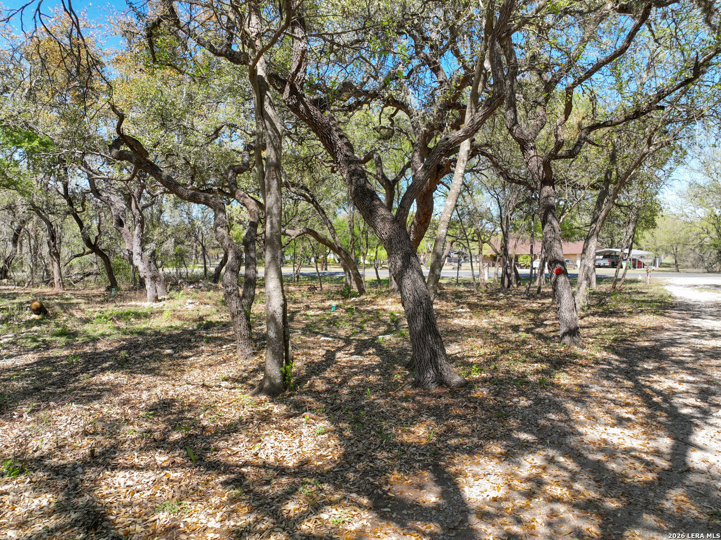 9623 Geronimo Oaks San Antonio TX 78254