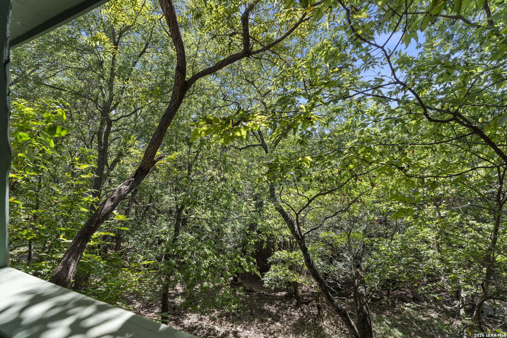 211 Doeskin Drive Boerne TX 78006