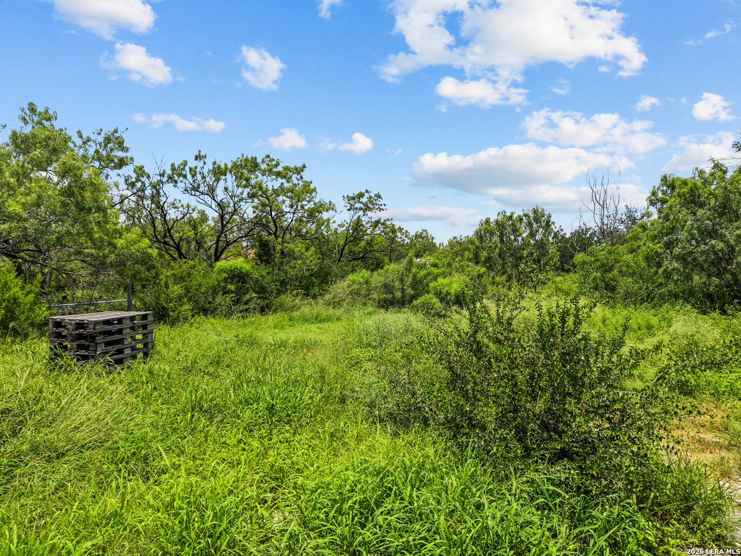 607 Rockwell Boulevard San Antonio TX 78224