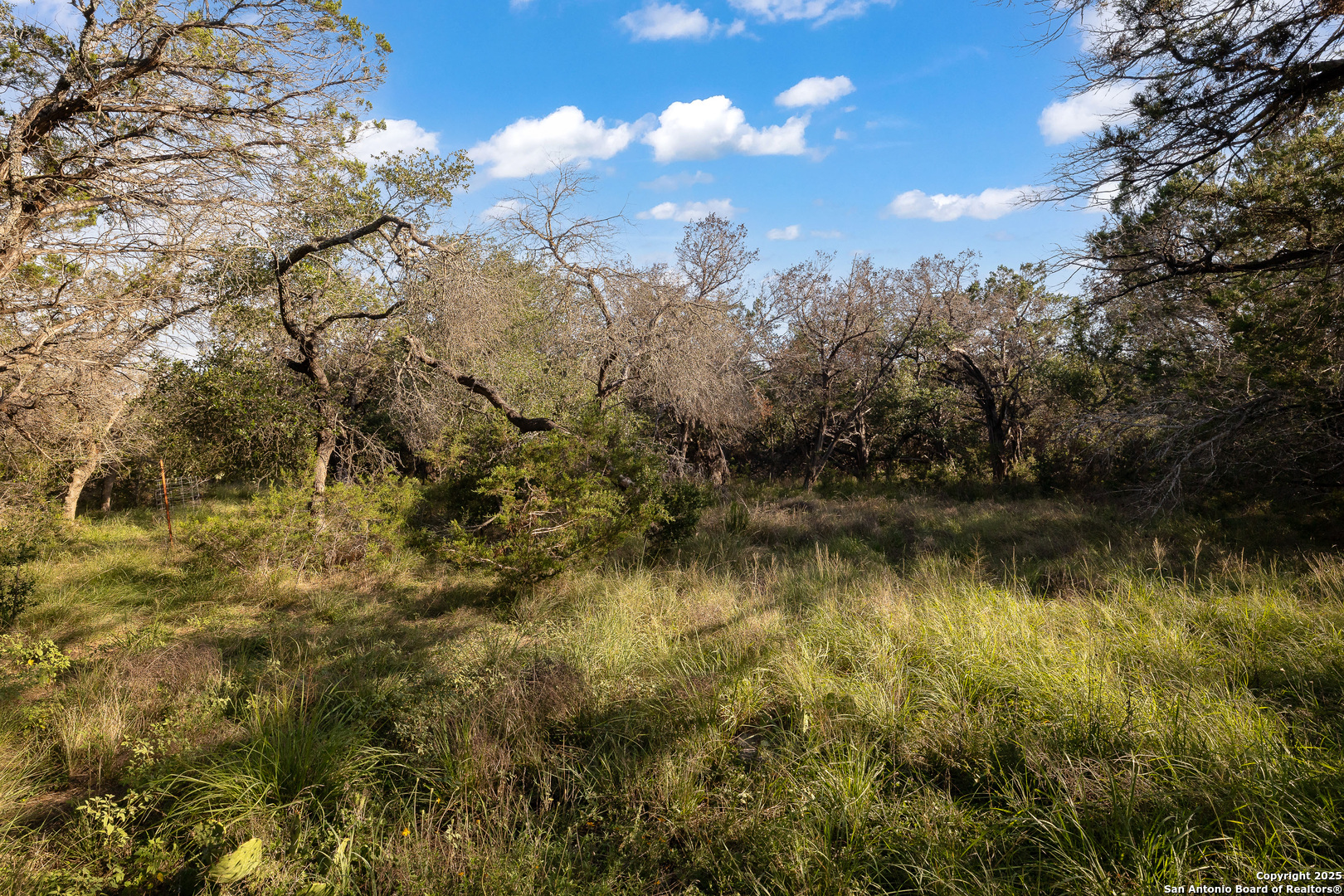 Blanco TX 78606