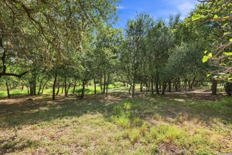 27 Great Wood Hollywood Park TX 78232
