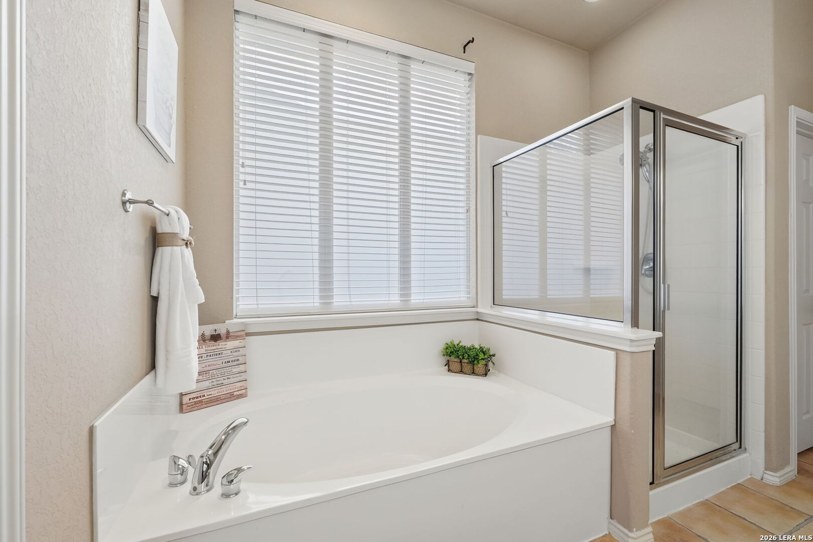 250 Gazelle Leap San Antonio TX 78258