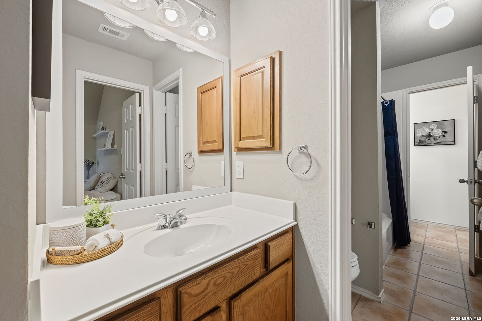 250 Gazelle Leap San Antonio TX 78258