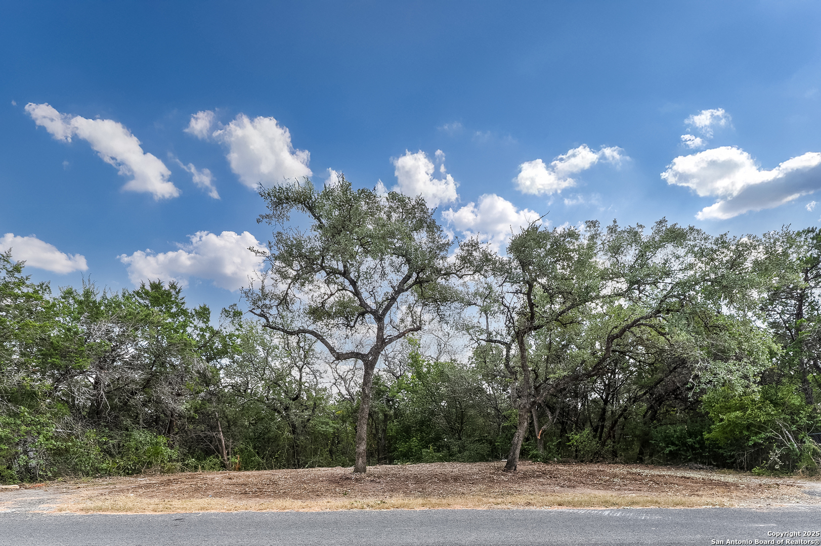 1010 Red Cloud Drive San Antonio TX 78260