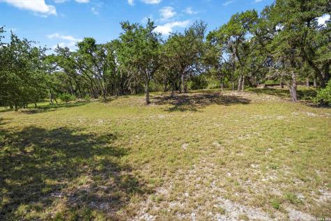318 Remington Drive Bergheim TX 78004