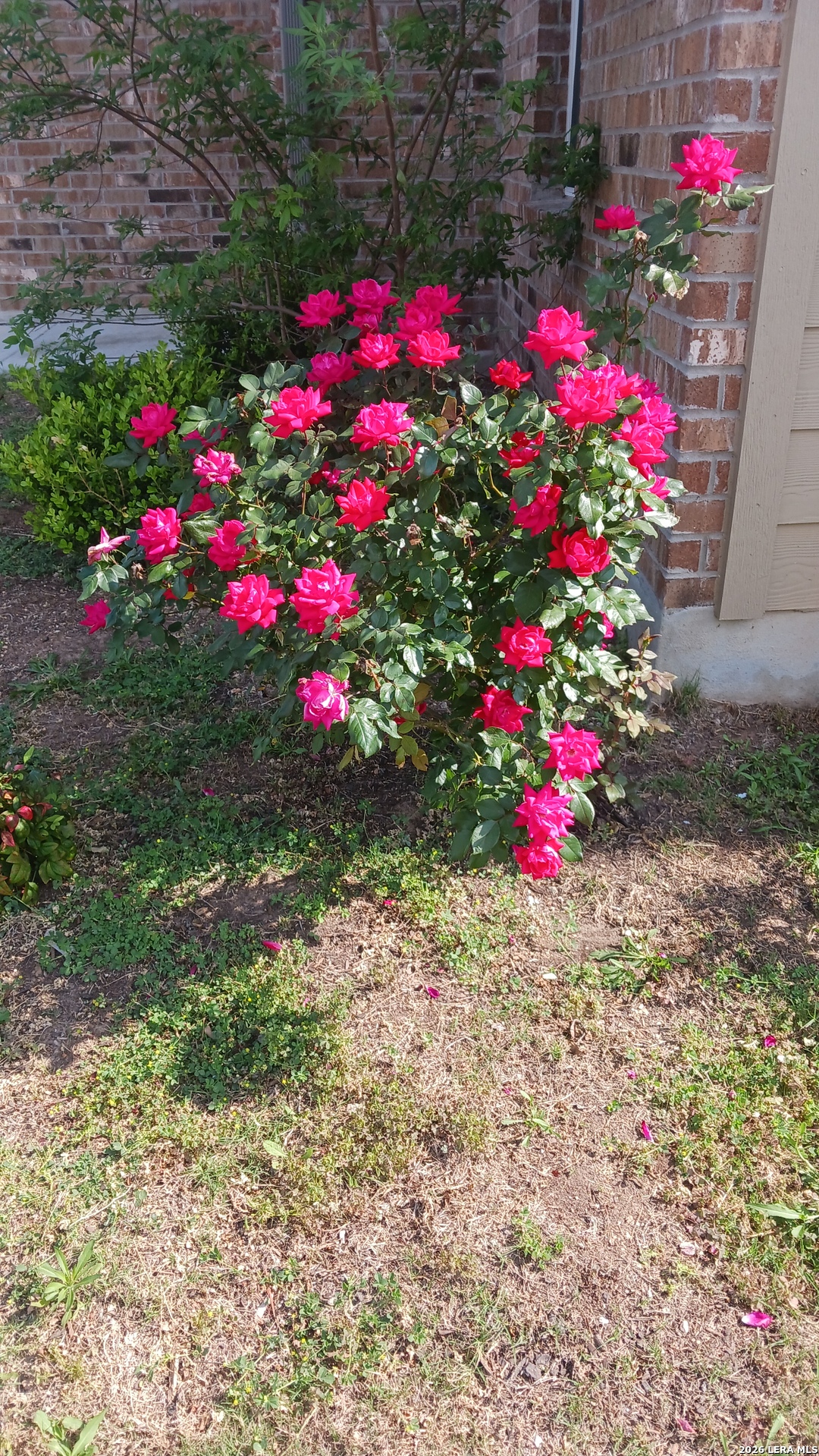 303 Sulphur Springs Cibolo TX 78108