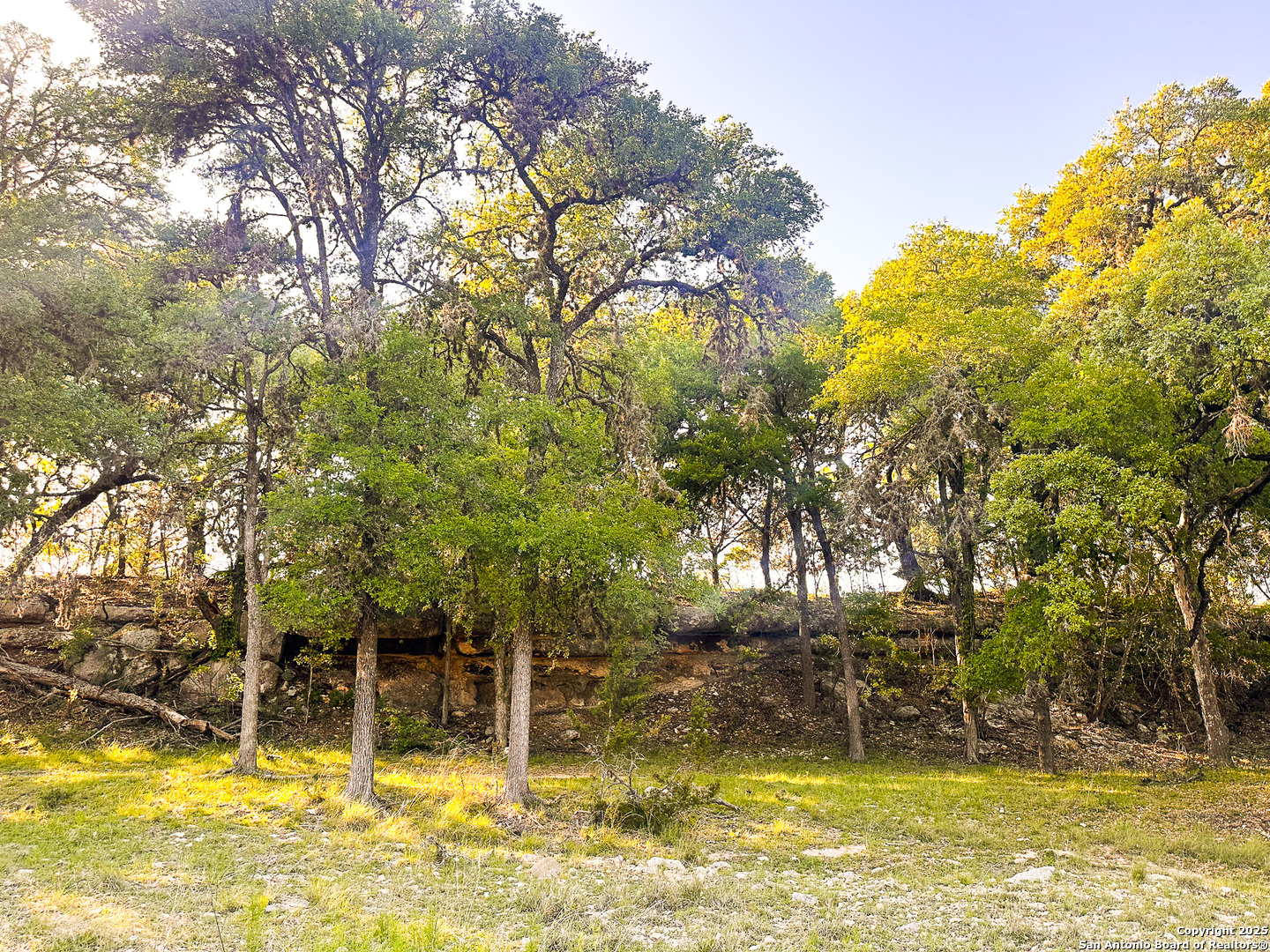 Lot 12 Brown Saddle Bandera TX 78003