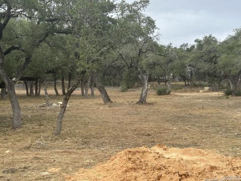 954 Maximino Ridge Bulverde TX 78163