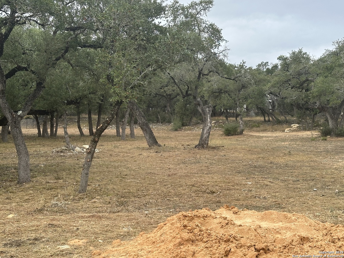 954 Maximino Ridge Bulverde TX 78163