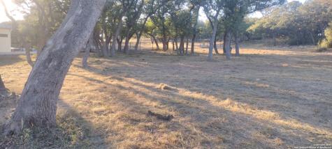 954 Maximino Ridge Bulverde TX 78163