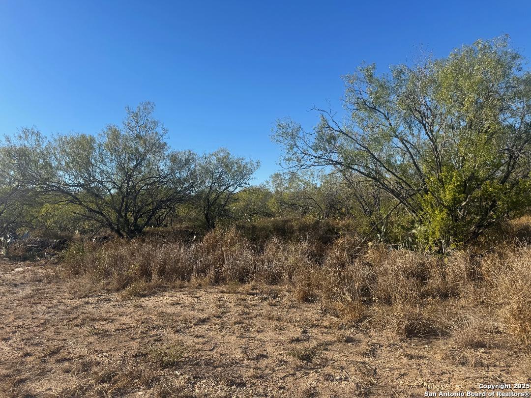 Lots 2453-2455 Avenue J Christine TX 78012
