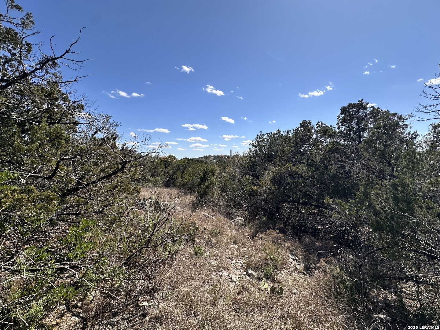 15669 Vista Grande Helotes TX 78023