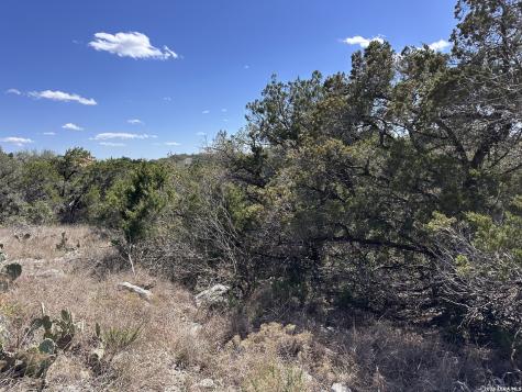 15669 Vista Grande Helotes TX 78023
