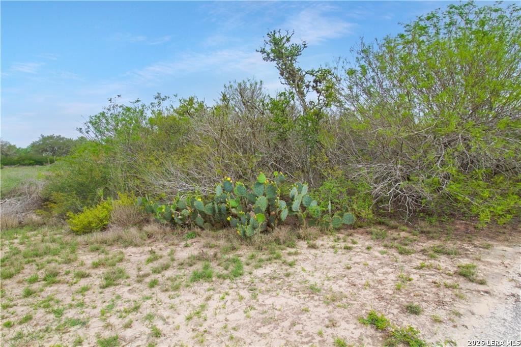 164 Bobwhite Trail Beeville TX 78102