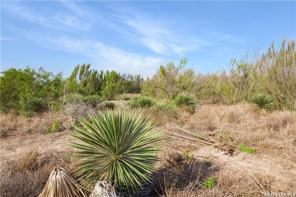 164 Bobwhite Trail Beeville TX 78102