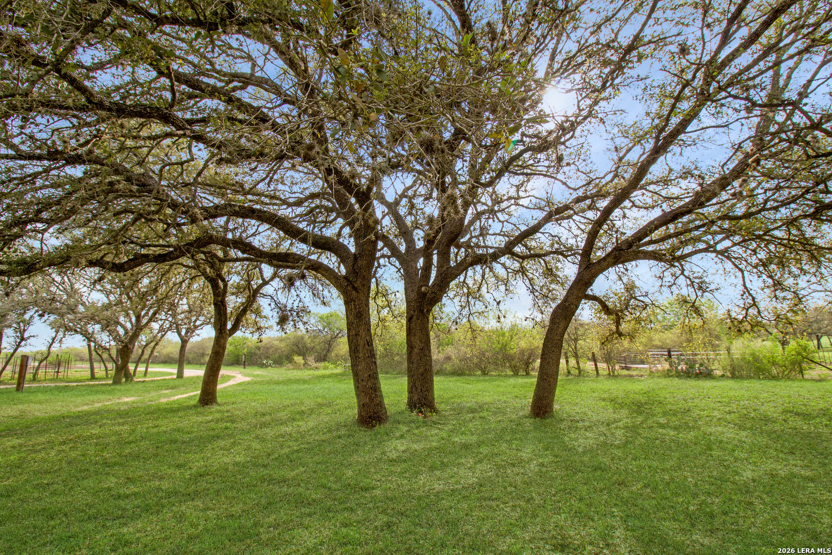 164 Bobwhite Trail Beeville TX 78102